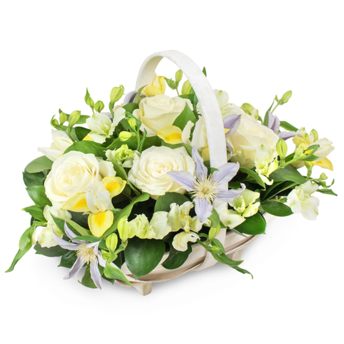 A beautifully balanced funeral flower basket is shown here, photographed against a pure white background that emphasizes the soothing palette and careful craftsmanship. The basket is light in colour, woven from wicker or rattan, and features a gently curved handle that arches over a generous dome of blooms, giving the impression of something lovingly prepared and ready to be delivered through the streets around Charing Cross. At the heart of the design, several large, creamy white roses stand in full bloom, their petals softly layered and slightly cupped, conveying a sense of purity, peace, and tender remembrance. These are interwoven with distinctive, star-shaped clematis flowers in pale lavender and periwinkle blue tones, their pointed petals and yellow-green centres adding a hint of delicate drama and a subtle lift to the otherwise neutral scheme. Encircling and supporting the focal flowers are clusters of small white and pale yellow blooms that resemble freesia, together with ruffled white blossoms akin to lisianthus, building a textured, airy surround that feels calm and contemplative. Some of the smaller stems remain in bud, a quiet nod to continuity and the gentle unfolding of time. Rich, glossy dark green leaves fan out from the base, with lighter green sprigs threaded through, providing structure, depth, and a sense of natural vitality. The arrangement's mood is respectful and composed, suited for funerals, memorials, or condolence gestures in central London-from services near Charing Cross Station to gatherings along the Strand or the Embankment. Its harmonious blend of creamy whites, soft yellows, cool lavenders, and lush greenery offers a floral tribute that feels both dignified and deeply compassionate.