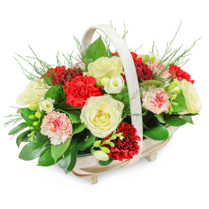 The image captures a serene funeral flower basket, carefully arranged to convey respect and heartfelt remembrance, much like the tributes delivered across Charing Cross for services and farewells. The basket is crafted from light, natural wood slats, shaped into a soft oval with a gentle oblong profile, and raised slightly on four subtle little feet. An elegant, arching handle rises from side to side, its pale colour and smooth curve echoing the softness of the flowers it encloses. From this base, a generous, rounded dome of blooms emerges, full yet controlled, spreading just beyond the rim of the basket. The main focus is on creamy white roses, which are fully open and display their delicate, velvety petals in rich layers, symbolising peace, love, and gratitude. Intertwined with the roses are clusters of deep red carnations, their ruffled petals forming dense rosettes that add depth and a solemn richness to the arrangement. Gentle contrast comes from paler pink carnations and bi-coloured varieties, where white petals are touched or edged with pink and red, giving a soft, almost watercolor-like effect that puts a tender note into the design. Between these larger heads, you can see smaller white blooms-likely freesias-with slender stems and open, bell-shaped flowers that add lightness and a hint of movement. The entire arrangement is supported by lush, deep green foliage: broad, glossy leaves form a stable base, while fine, feathery green sprigs rise above and between the flowers, softening the silhouette. Set against a crisp white background, the colours, textures, and subtle details stand out clearly. This basket would be at home in a central London chapel or crematorium near Charing Cross, offering a thoughtful, elegant way to say goodbye and share condolences.