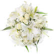 Viewed from a gentle overhead angle against a spotless white background, this round bouquet reads as a study in pure white and soft cream: several large white oriental lilies open wide, their trumpet-shaped petals curving back to reveal pale green stamens and the faintest hint of warm yellow at their centers. Nestled among them are clusters of creamy ivory roses, many held in tight buds or just beginning to unfurl, their velvety petals creating a layered, cushion-like texture beneath the lilies. Spidery sprays of white Baby's Breath (Gypsophila) are woven throughout, their tiny, cloud-like flowers softening the silhouette and filling every pocket of space with delicate detail. Bright green leaves peek out along the perimeter, their fresh sheen offering a cool counterpoint to the monochrome blooms and lending a crisp edge to the bouquet's symmetrical shape. The lighting is soft and diffuse, as if photographed in a pale morning light, which emphasizes the flowers' satin textures and gives the arrangement a calm, luminous quality. There is a gentle, familiar perfume here - the sweet, slightly spicy scent of lilies balanced by the softer, honeyed aroma of roses - that suggests both celebration and quiet reverence. This arrangement evokes bridal elegance or a refined sympathy gift and would sit comfortably on a reception table near Trafalgar Square or as a bridal posy for a ceremony close to the River Thames at Embankment; its craftsmanship reflects the kind of careful handwork local customers expect from florists serving central London's Charing Cross neighbourhood.
