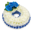 Seen from a slightly elevated angle against a clean white backdrop, this circular sympathy wreath rests in soft light that throws a gentle shadow beneath it, giving the composition quiet depth. The body of the wreath is densely composed of pristine white chrysanthemums, their thousands of feathery petals layered into a gently domed, cloud-like ring whose texture reads soft to the touch and visually embraces the centre with serene fullness. At the upper left, three deep sapphire-blue roses form the arrangement's single focal accent; their velvety, tightly spiralled petals catch the light with a subtle, satin sheen and are cradled by rich, dark green foliage that provides a natural, grounding contrast. A pleated cobalt satin ribbon, echoing the roses, trims both the outer and inner edges of the chrysanthemum band, its ruffles and glossy folds adding structure and a refined, almost ceremonial frame. There is a faint, comforting scent of fresh chrysanthemums undercut by the cool, powdery whisper of rose petals, the overall aroma modest and respectful rather than overpowering. The composition reads as a carefully considered tribute-a balance of traditional white for remembrance and the dignified calm of blue-suitable for a funeral service or memorial display. As a florist familiar with Charing Cross and the nearby Victoria Embankment Gardens, I picture this wreath placed with quiet care beneath the colonnade at St Martin-in-the-Fields or beside a memorial in Trafalgar Square, offering solace through its textures, tones and handcrafted symmetry. The design honours loss with elegance, an understated yet memorable emblem of condolence.
